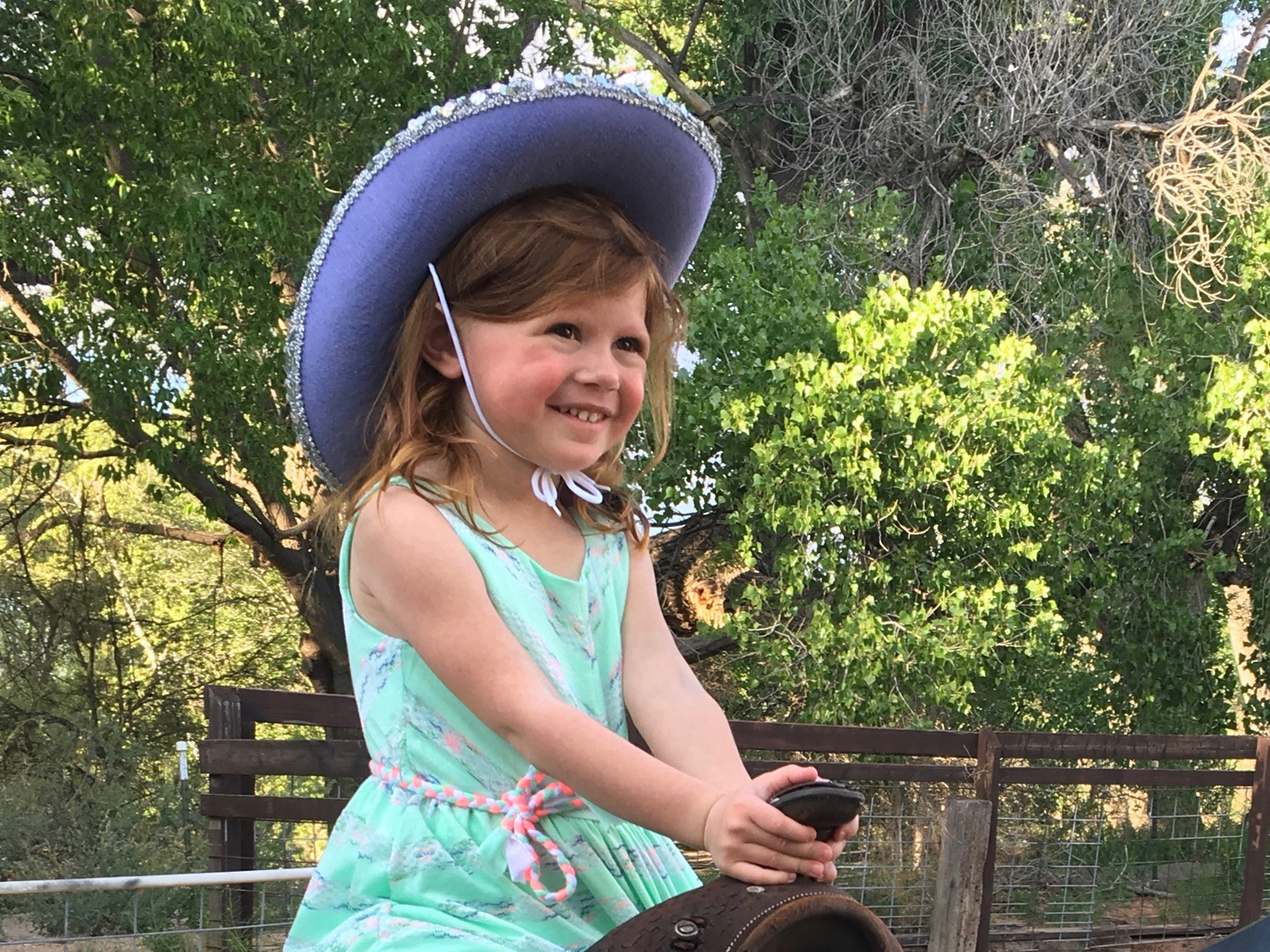 Laney's Legacy Laney Jaymes Foundation for Pediatric Stroke